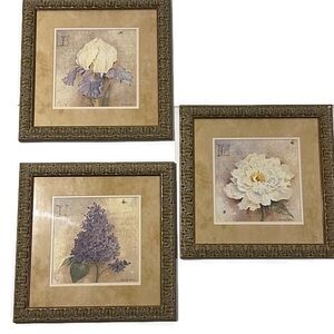 Elegant Floral Framed Wall Art Set by Kathryn White 13x13